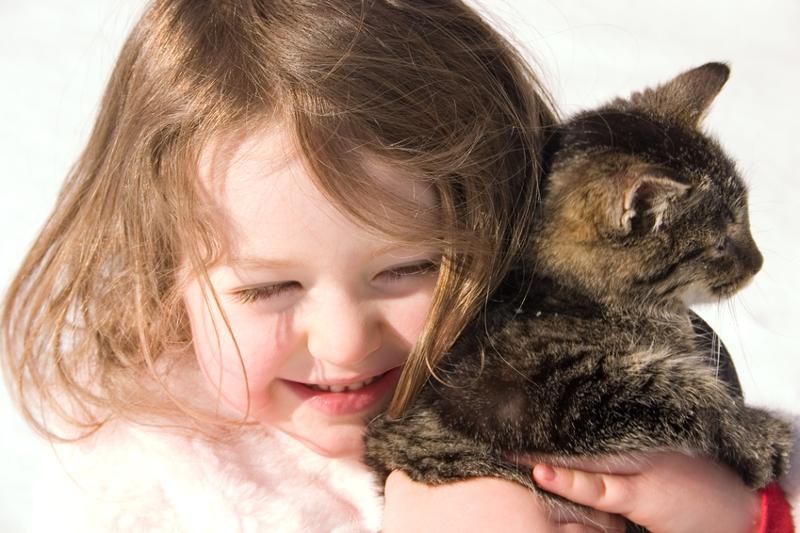 child with kitten