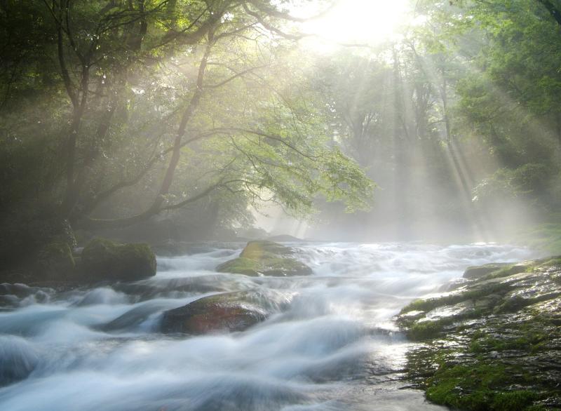 Sunlight on River