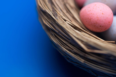 easter-egg-nest.jpg